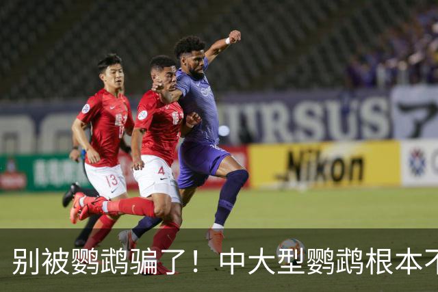 别被鹦鹉骗了！中大型鹦鹉根本不是宠物，是会飞的野生猛禽！